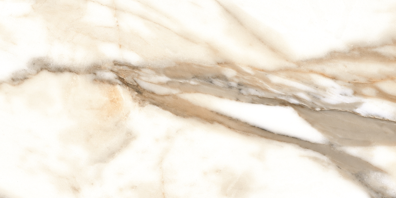 Calacatta   60X120