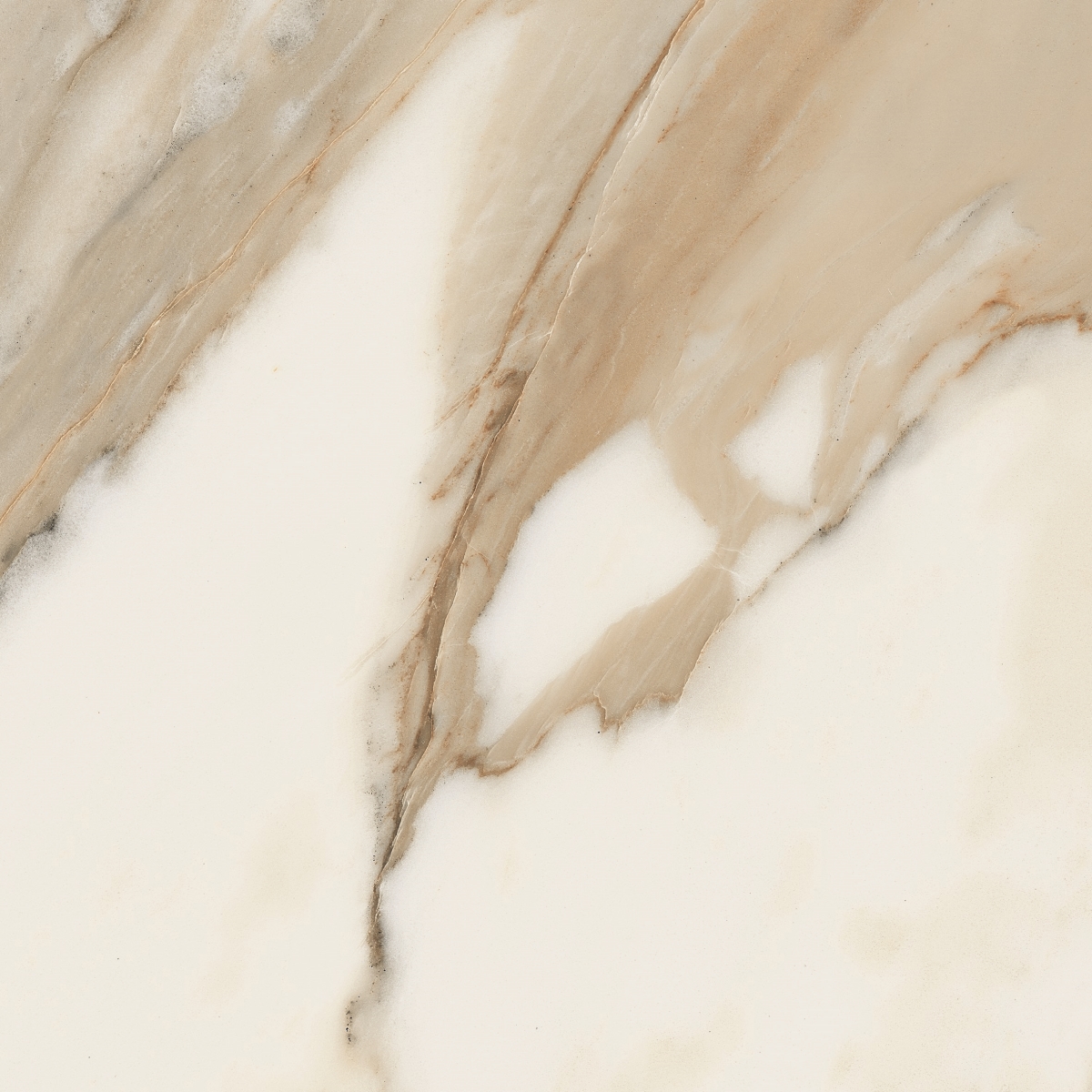 Calacatta     60X60