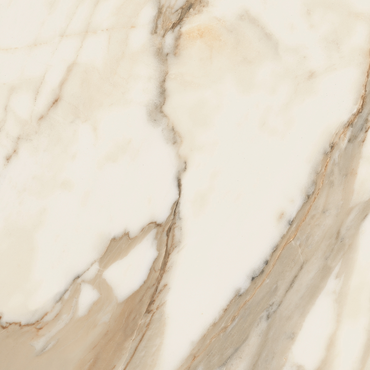 Calacatta   90X90