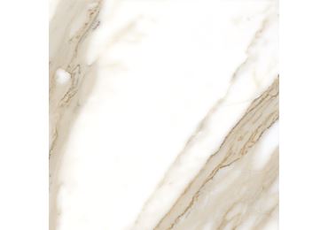 Calacatta  Nplus 120X120