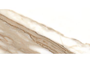 Calacatta  Nplus 60X120