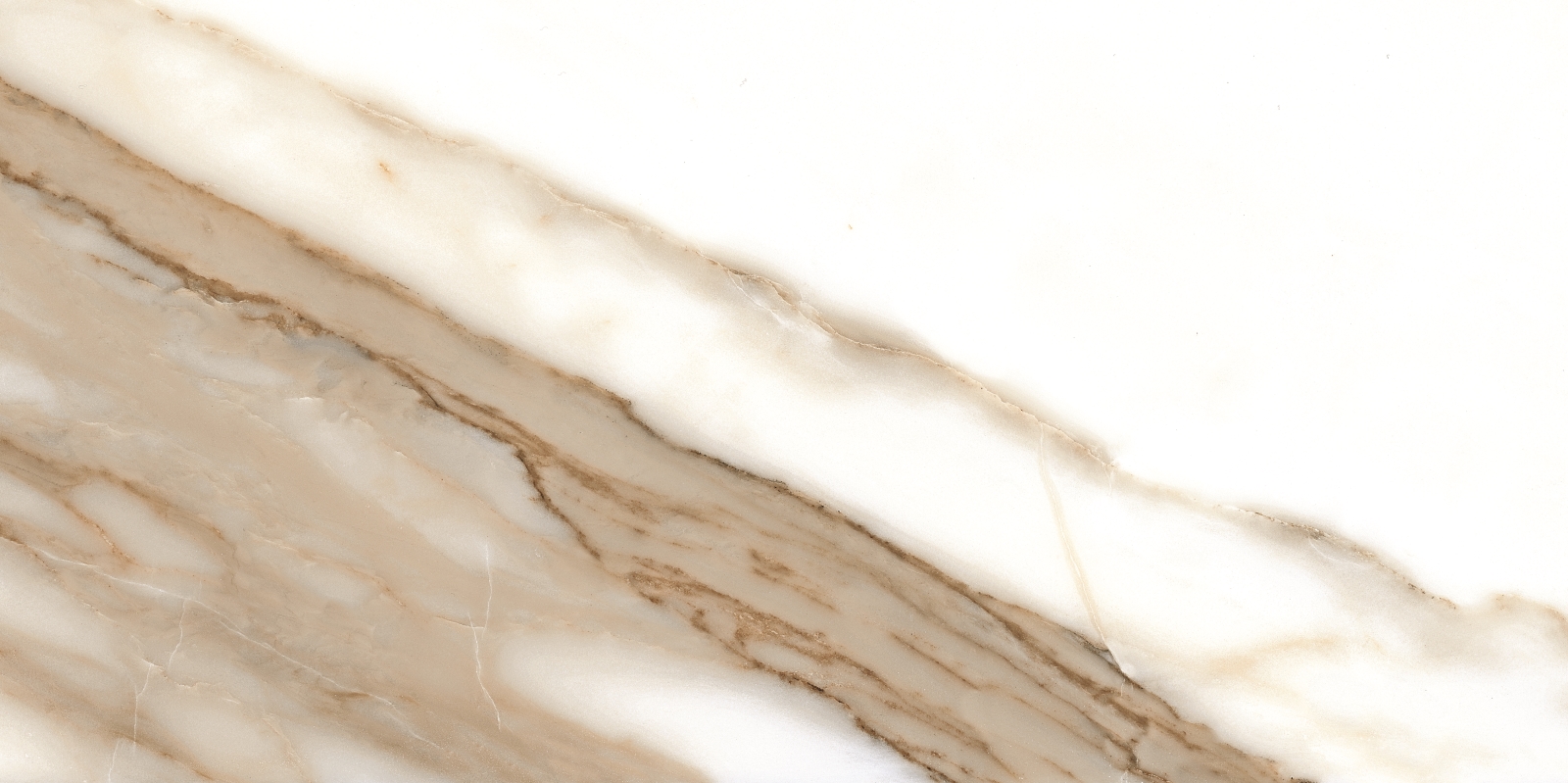Calacatta  Nplus 60X120