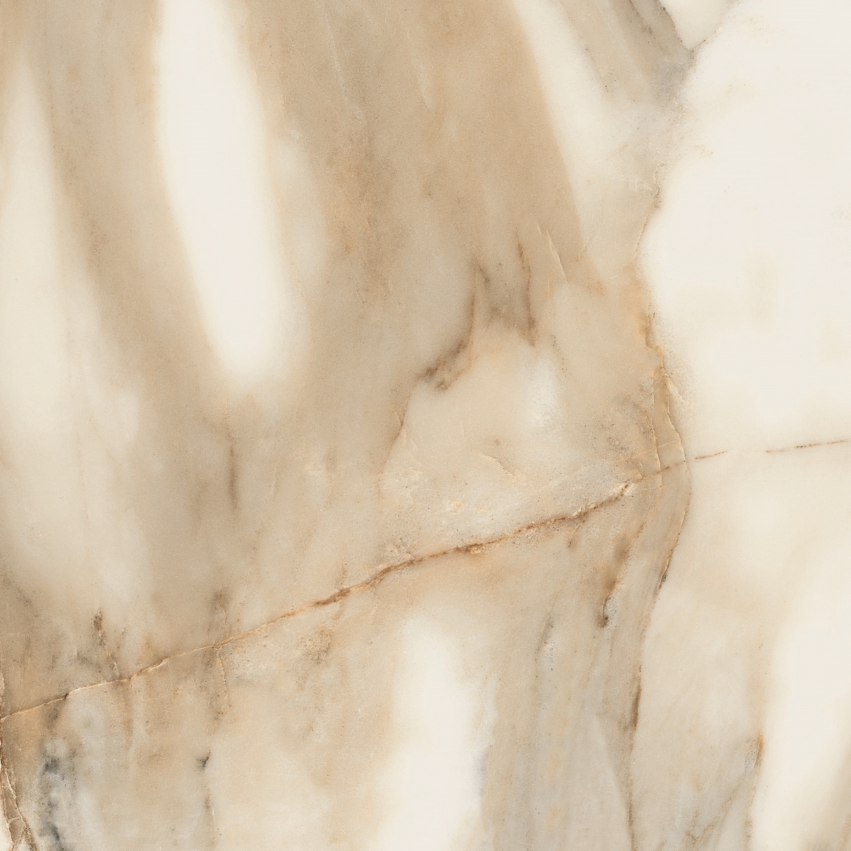 Calacatta  Nplus   60X60
