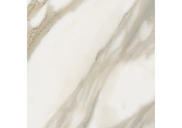 Calacatta  Nplus 90X90