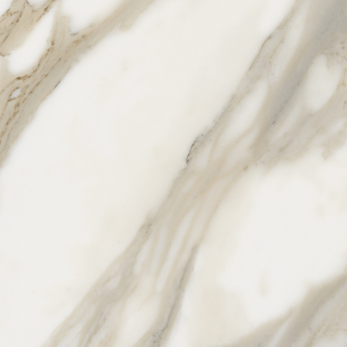 Calacatta  Nplus 90X90