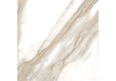 Calacatta  Rec 120X120