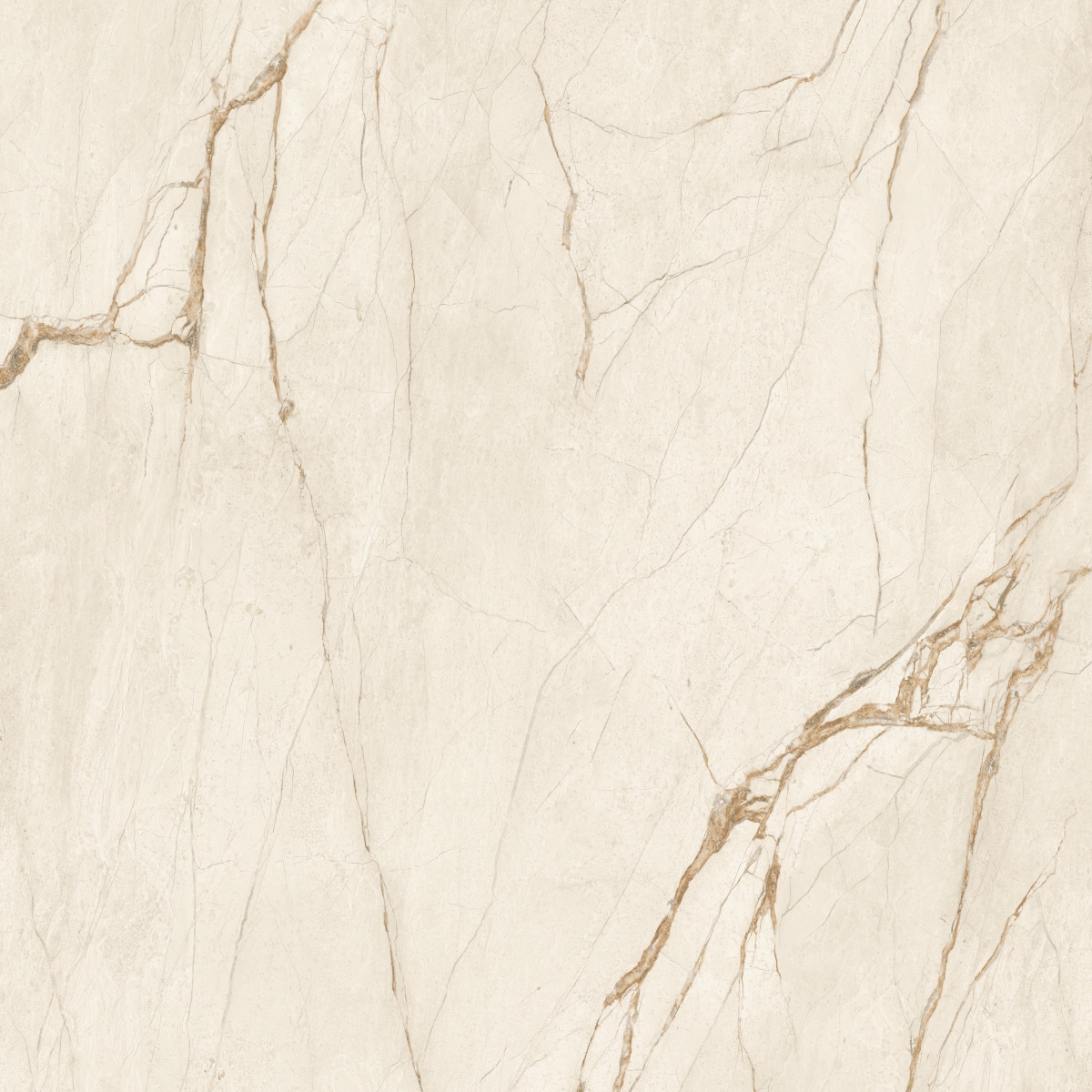 Canela Roma     60X60