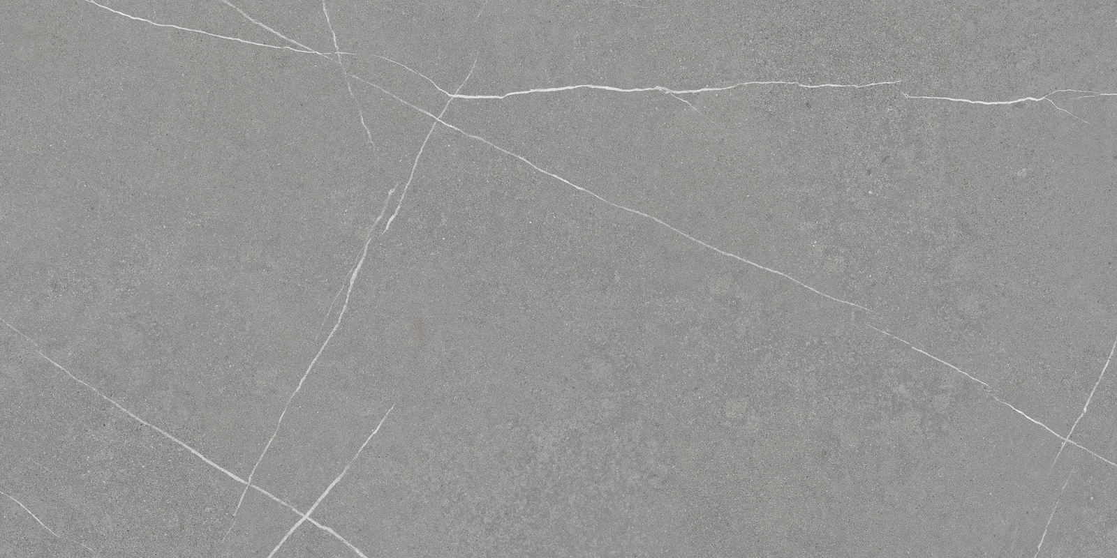 Capri Grey 60X120