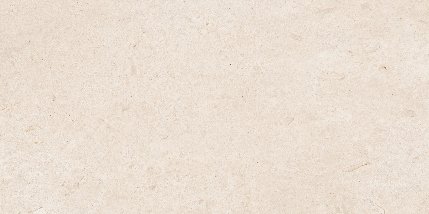 Caracter Blanco Mat  60X120