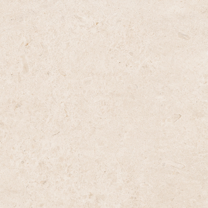 Caracter Blanco  Struktura Mat  60X60