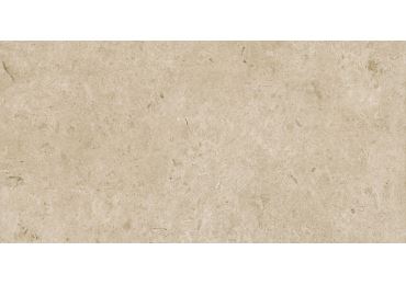 Caracter Greige  Struktura Mat  60X120