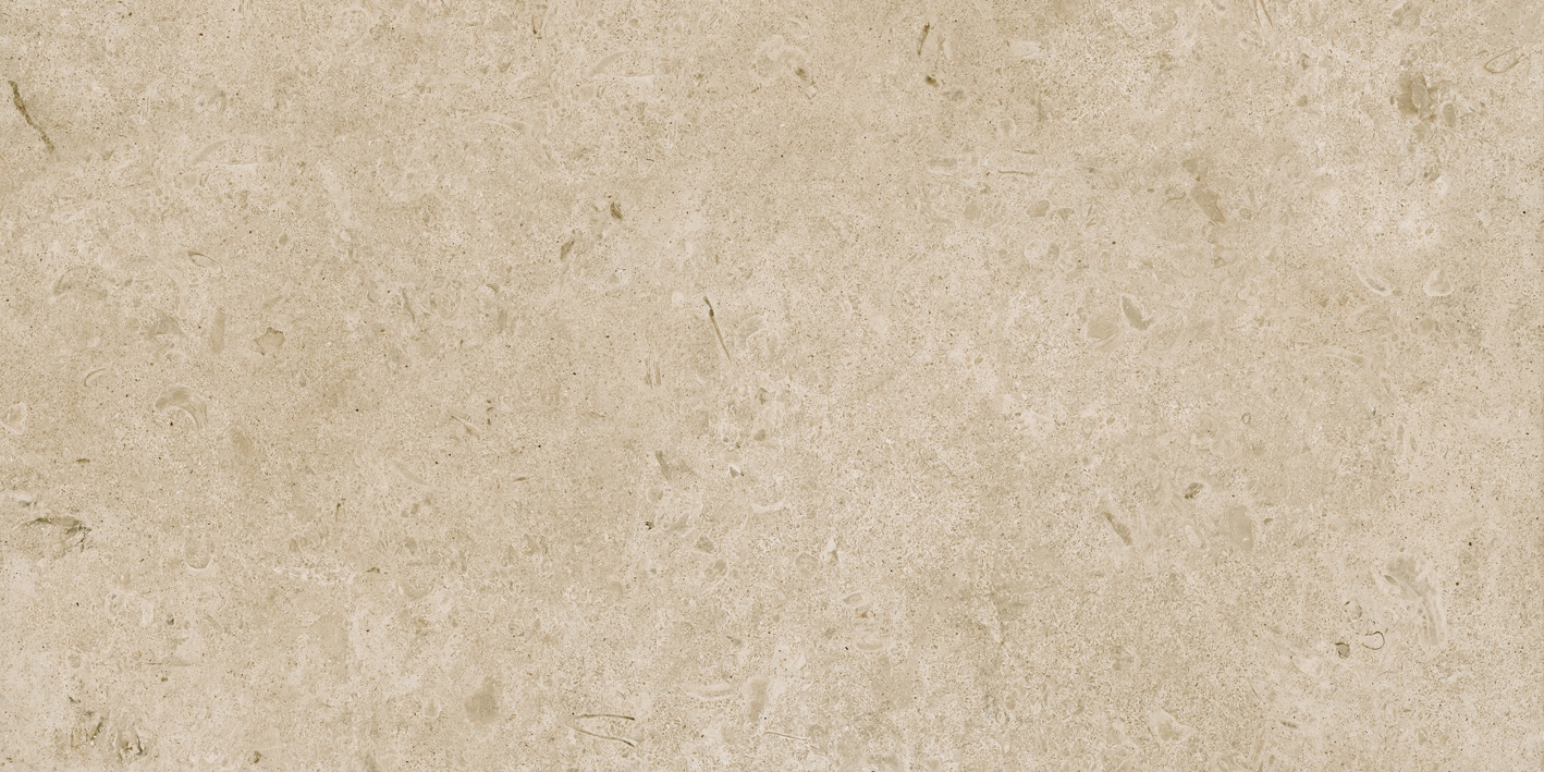 Caracter Greige  Struktura Mat  60X120