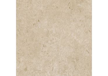 Caracter Greige  Struktura Mat  60X60