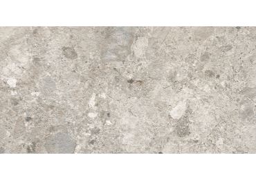 Caracter Mix Gris Mat  30X60