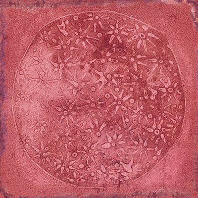 Carlo Granate Brillo 20x20