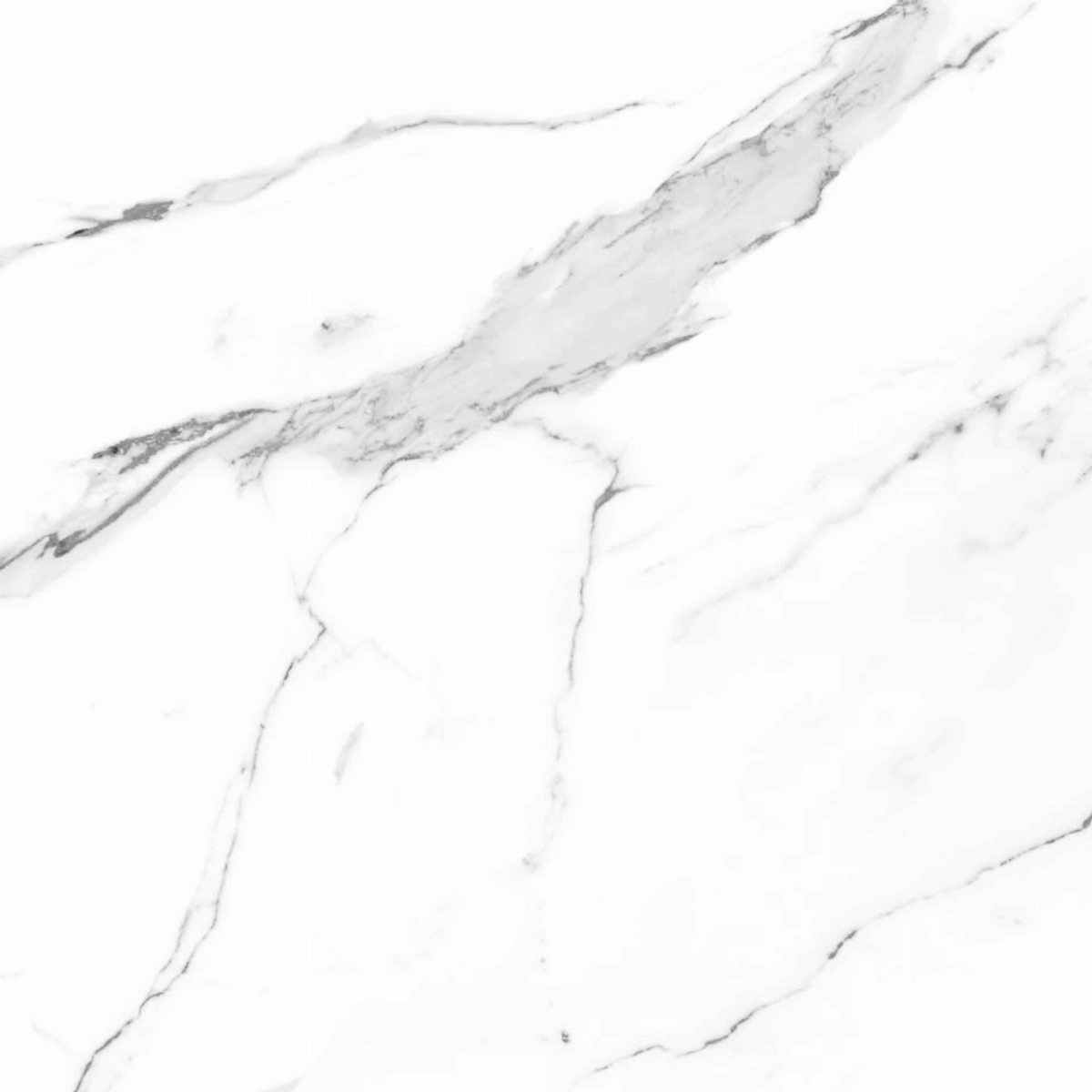Carrara 120X120