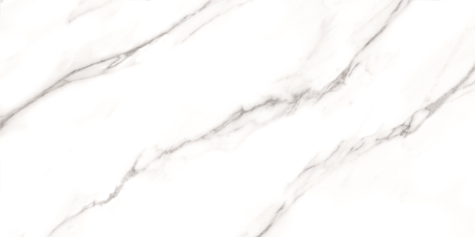 Carrara   60X120