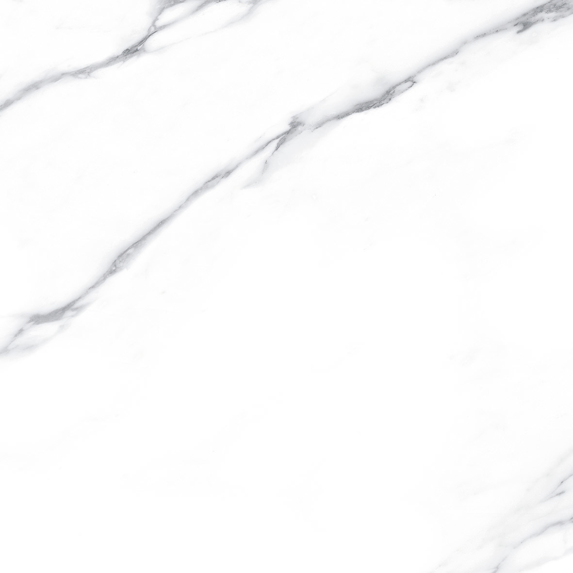 Carrara     60X60