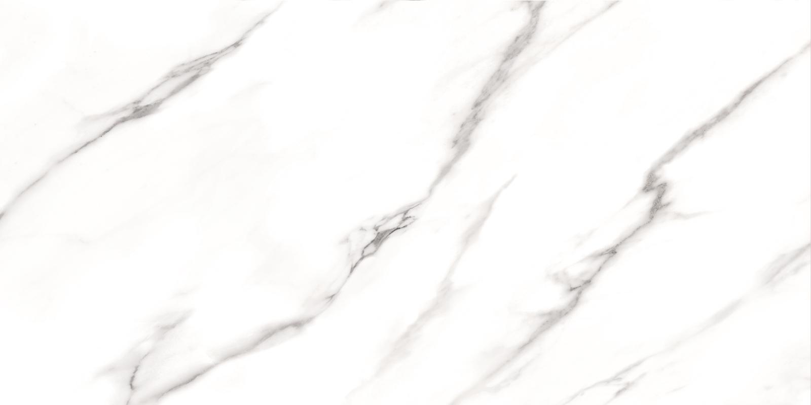 Carrara  Nplus 60X120