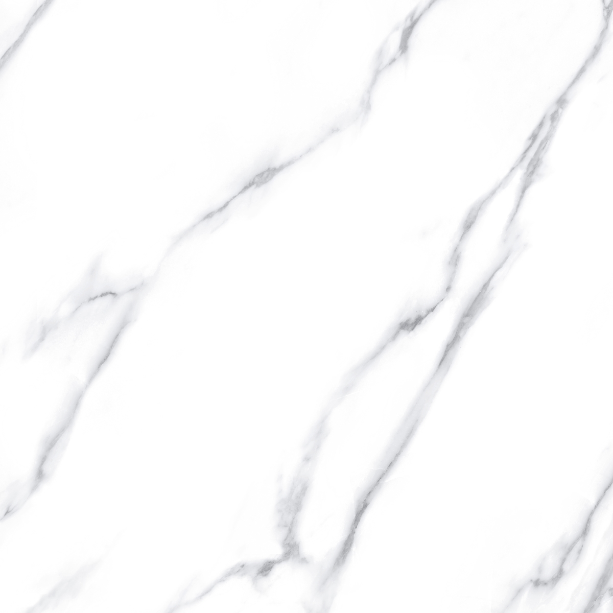 Carrara  Rec 90X90