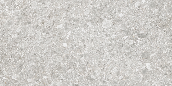 Ceppo di Gre-R Gris 60x120