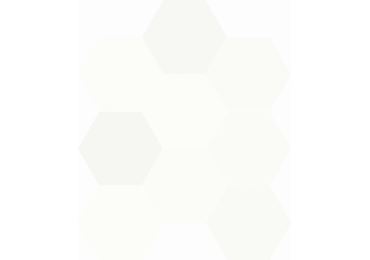 Chicago Exa White Cotton 21,5x25