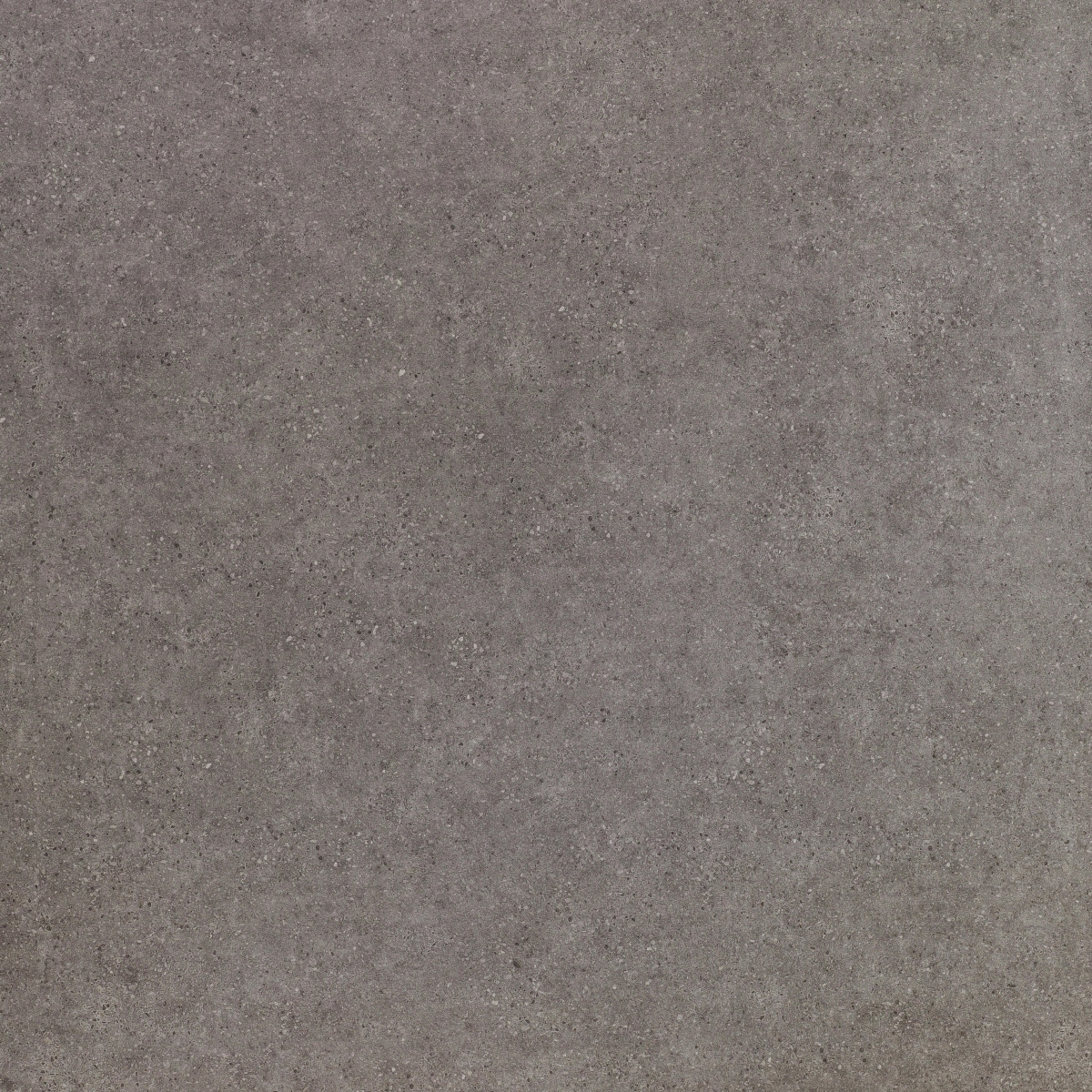 Clunia Antracita 100X100