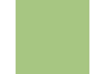 Color Two Světle Zelená 20 X 20