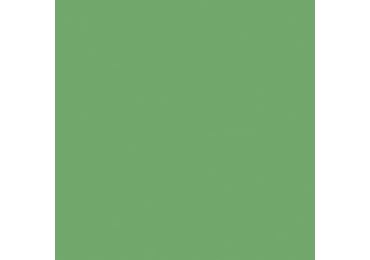 Color Two Zelená 20 X 20