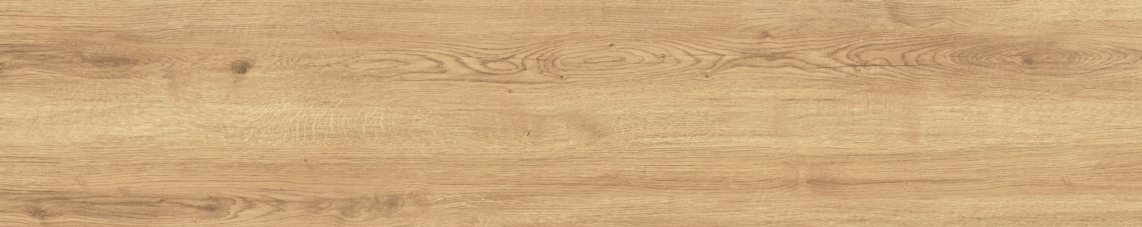Concorde Miel  30X150