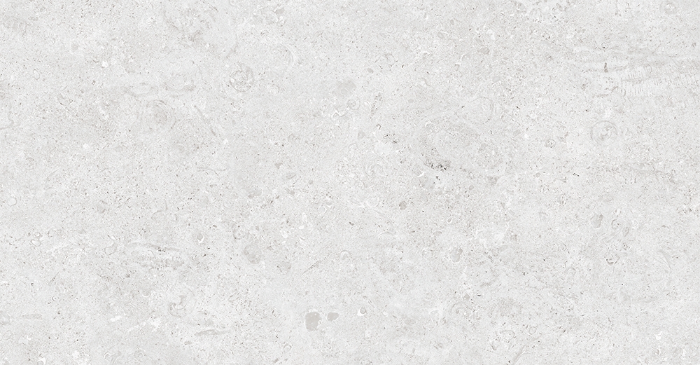 Coralstone Bianco 60x120