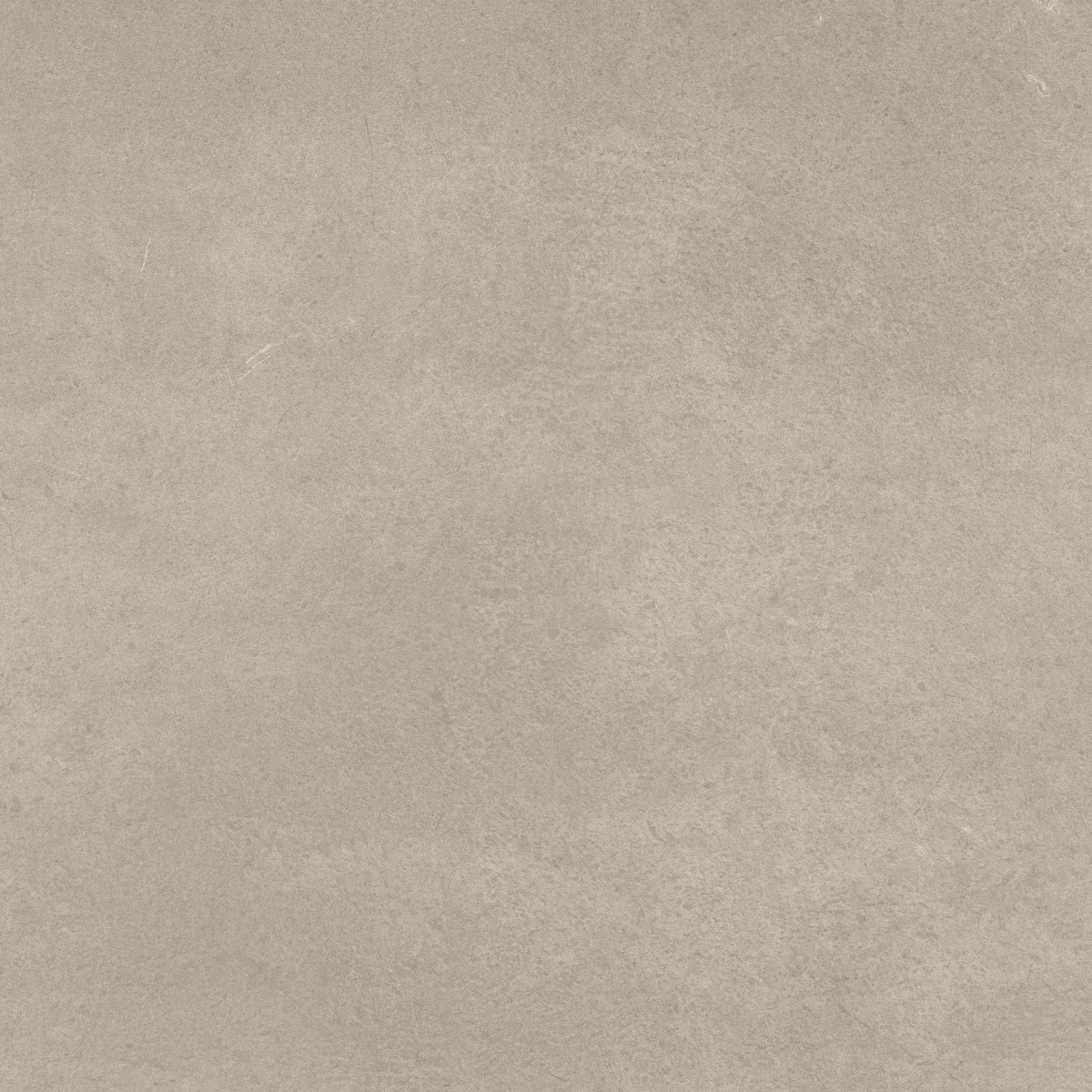 Core Tortora 60X60