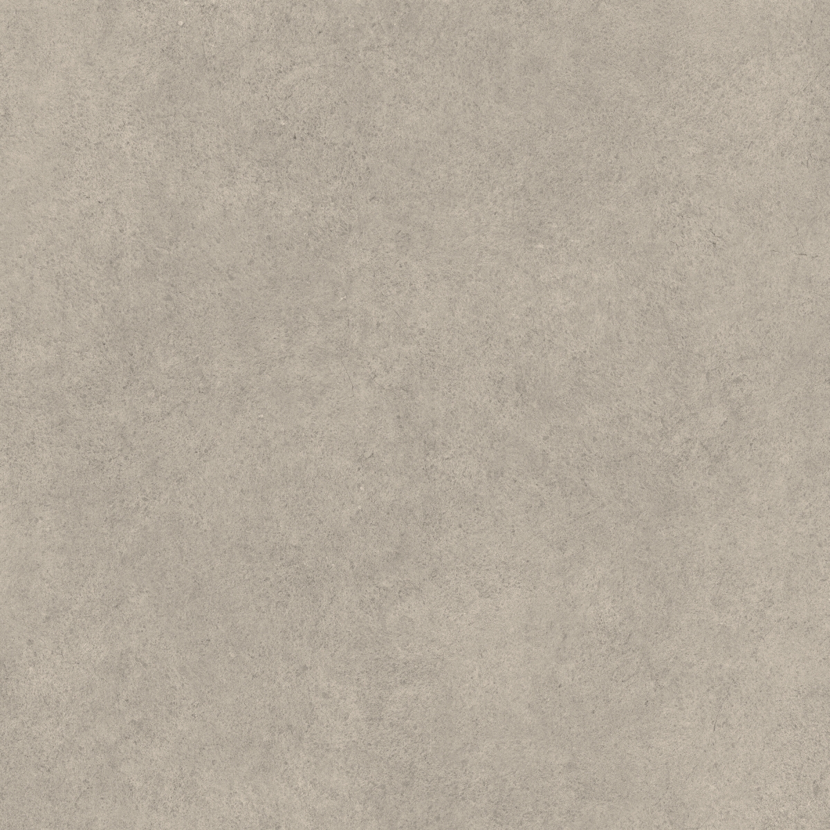 Core Tortora 90X90