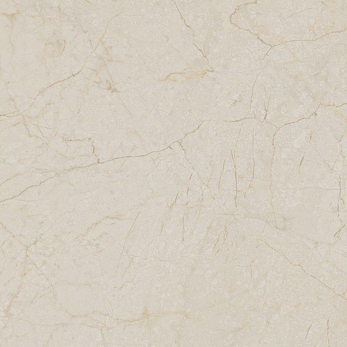Cream Dune   60X60