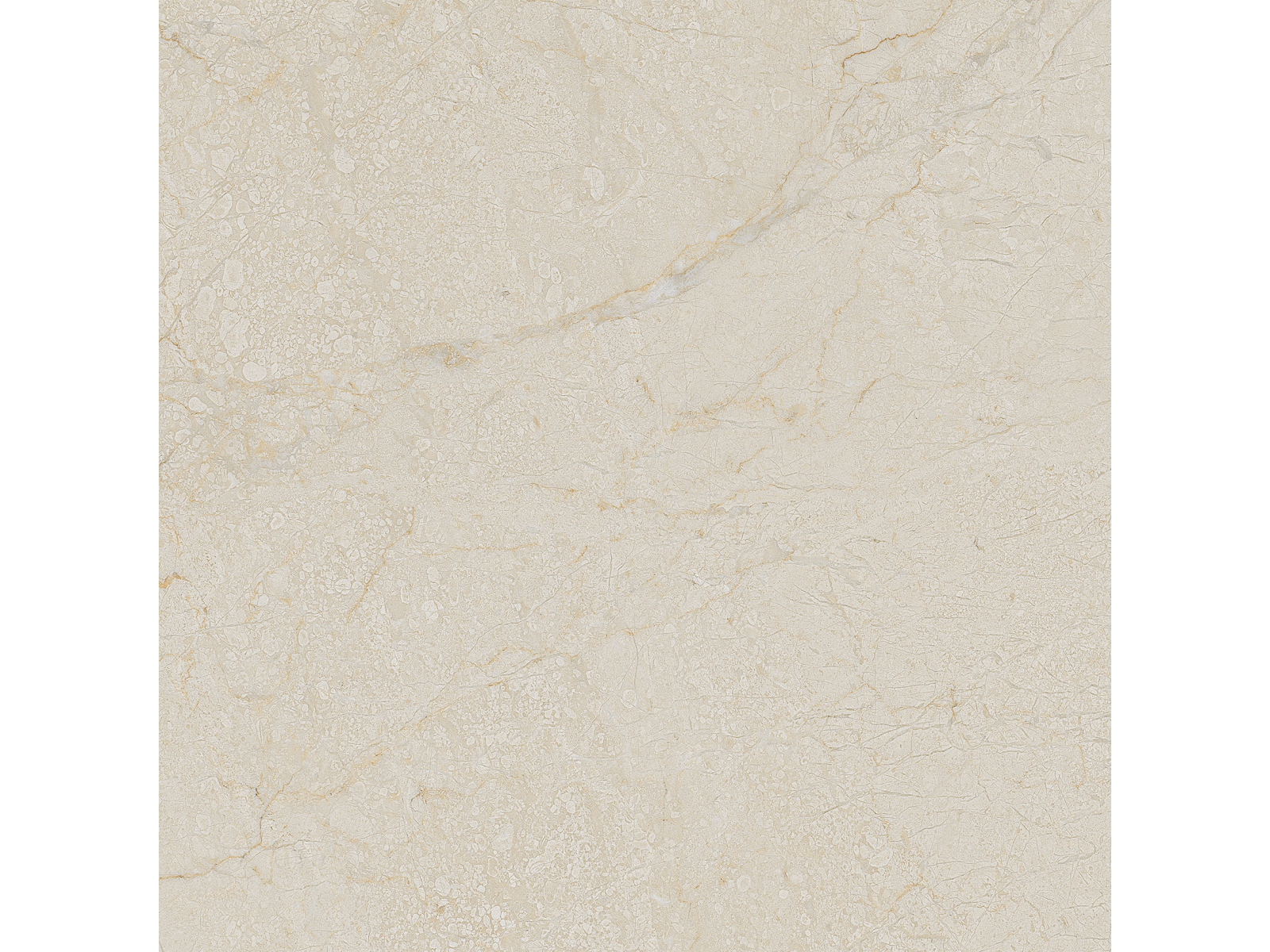 Cream Dune   60X60
