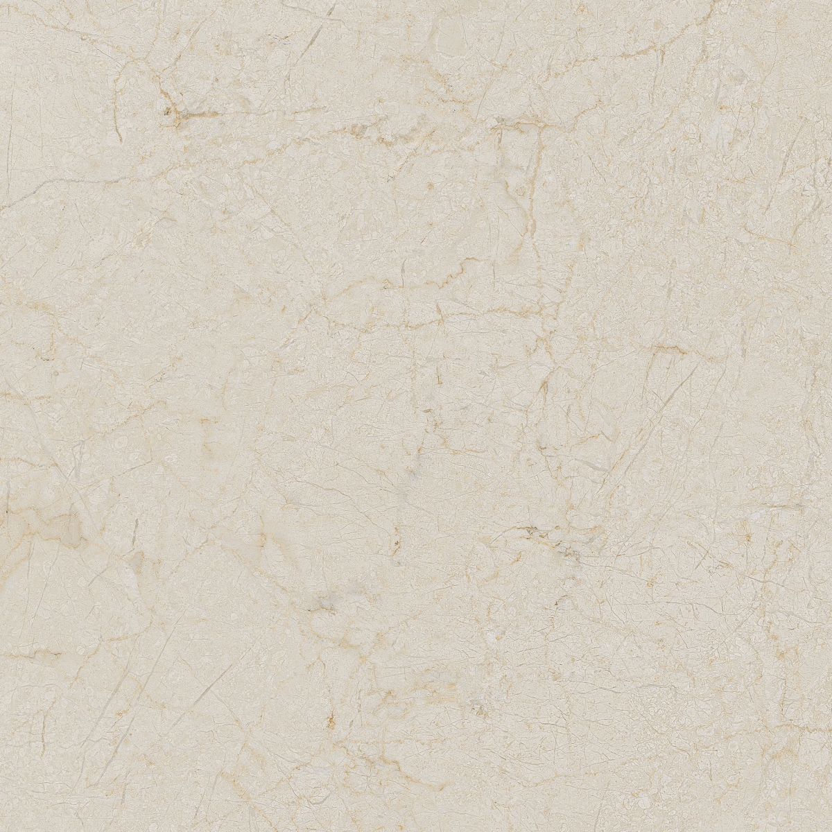 Cream-R Dune   80X80