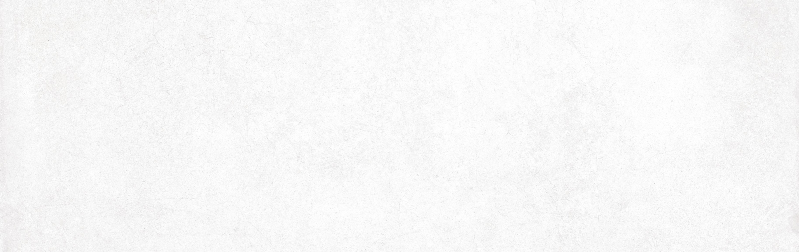 Dakota White 31X98