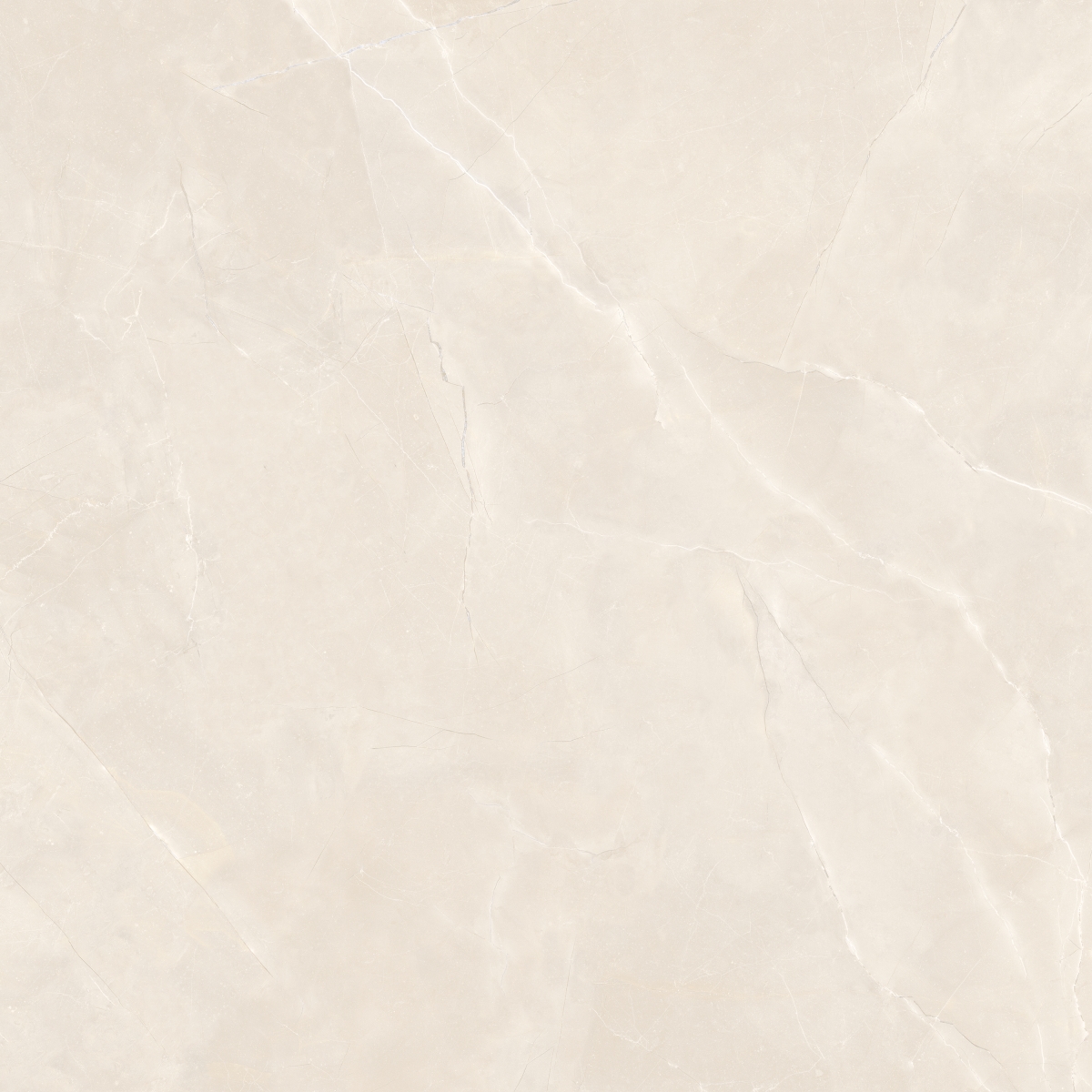 Dalkey Beige Satinado 100X100