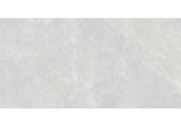 Dalkey Gris Satinado 60X120