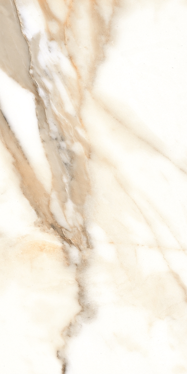 Dec.Calacatta B Nplus 60X120