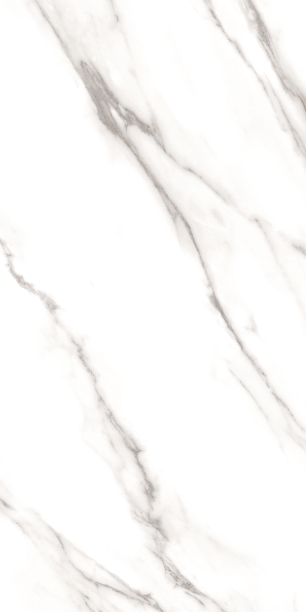Dec.Carrara B Nplus 60X120