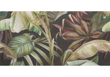Decorado Palm  60X120