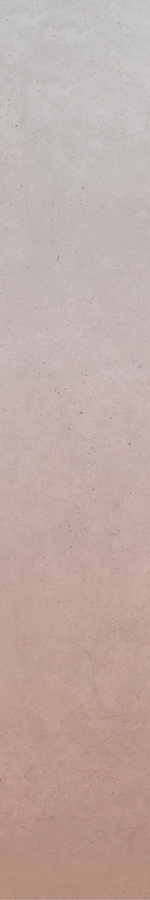 Degradee Red Decor Natural 19,7x119,3