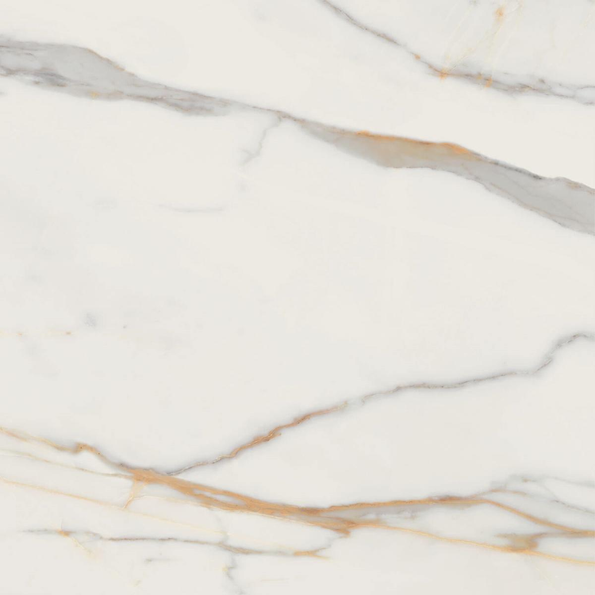 Dlažba  Dorado Stone Pololesk Rektifikovaná 60X60