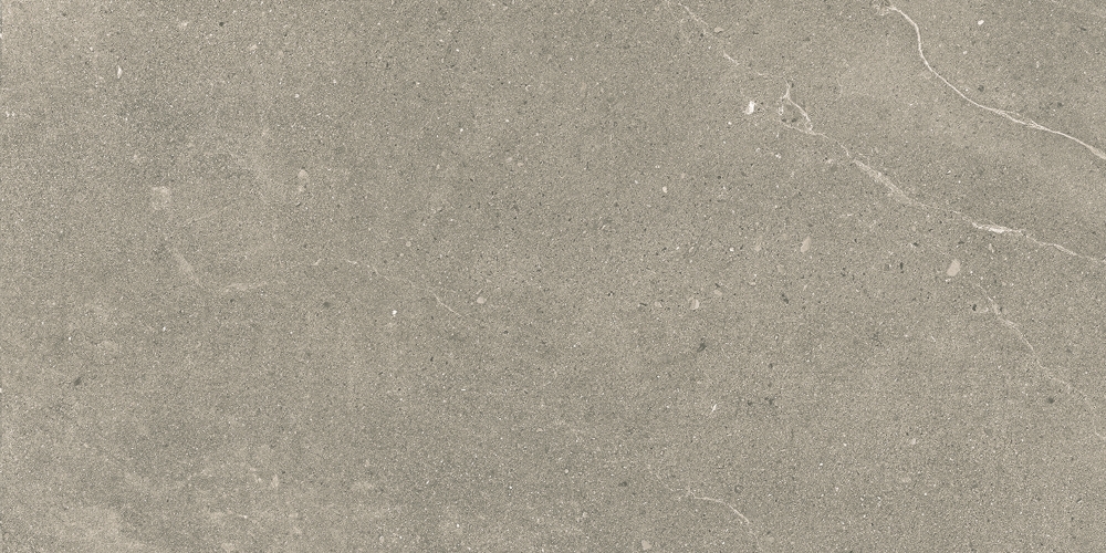 Ecchio Taupe 60x120