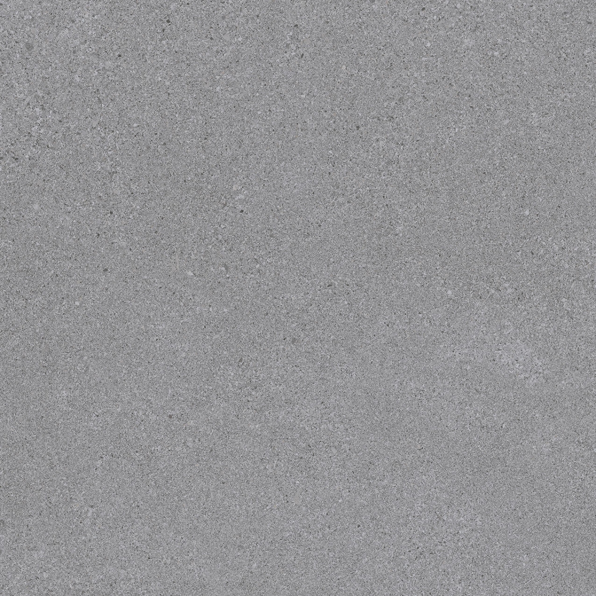 Elburg Antracita   60X60