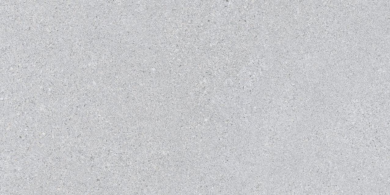 Elburg Gris 30X60
