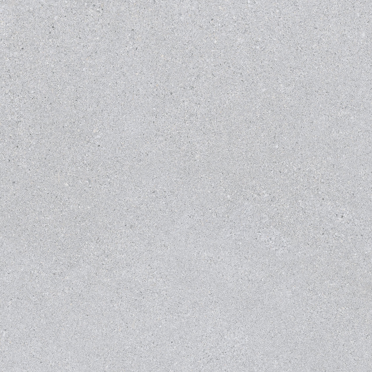 Elburg Gris   60X60