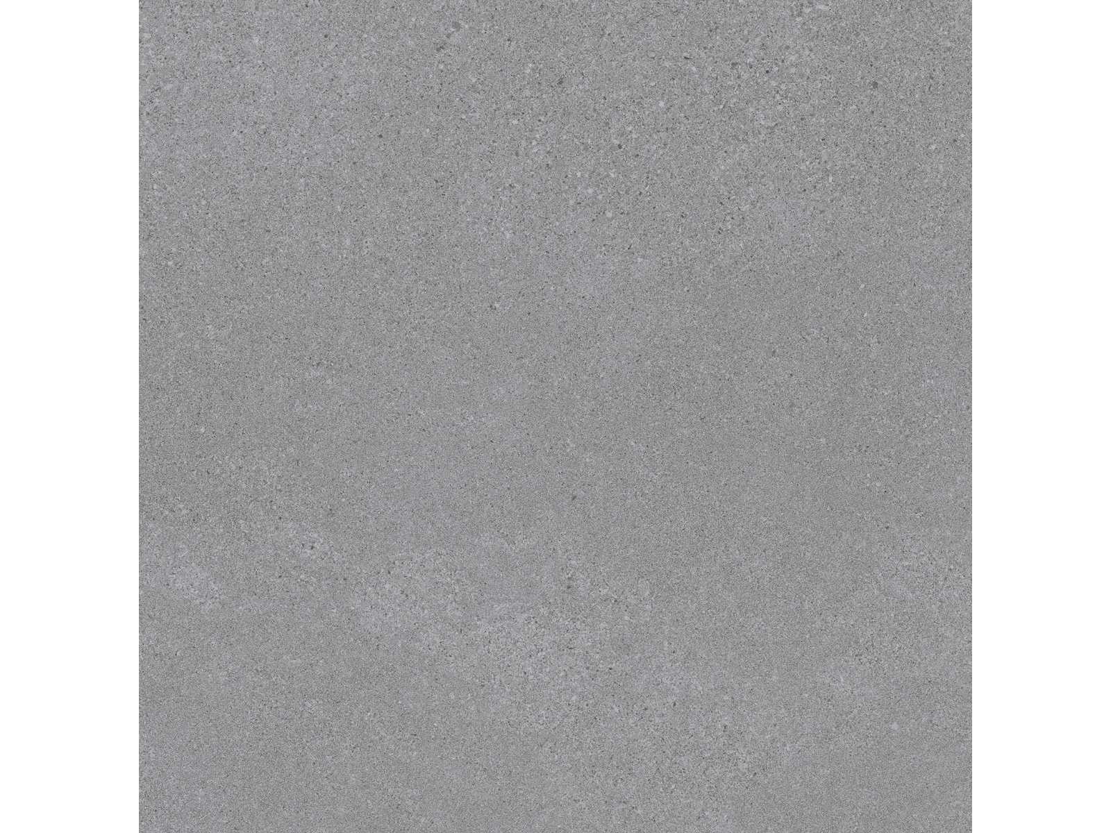 Elburg-R Antracita 80X80