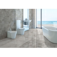 Ellesmere Lappato 60x120